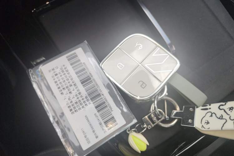 Used Lynk & Co 08 EM-P 2025 120km Long-Range Pro Vehicle Key