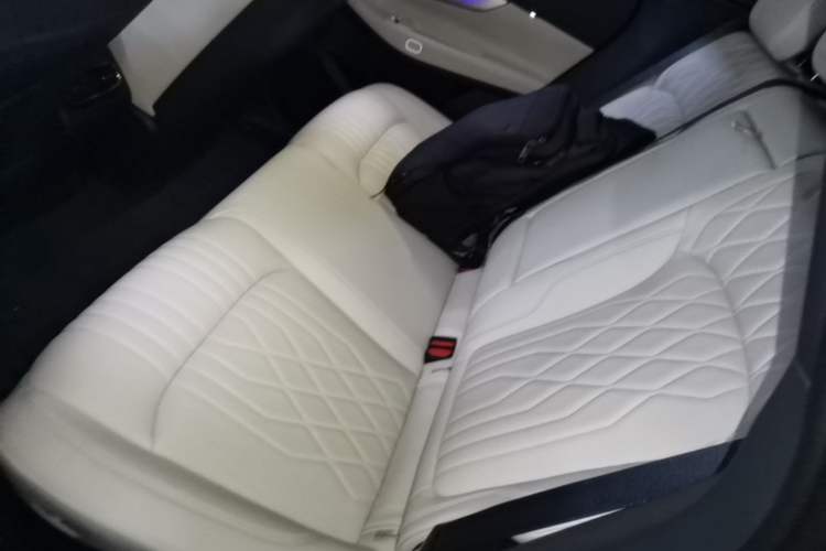Used Lynk & Co 08 EM-P 2026 Model 210 Four-Wheel Drive Performance Ultra H7 Left Rear Seat