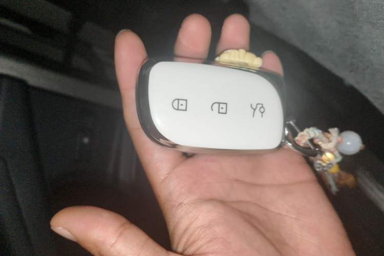 Used Lynk & Co 08 EM-P 2026 Model 160 Long-Range Ultra Vehicle Key