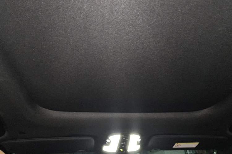 Used Lynk & Co 09 2021 2.0T Halo Seven-Seater Headliner