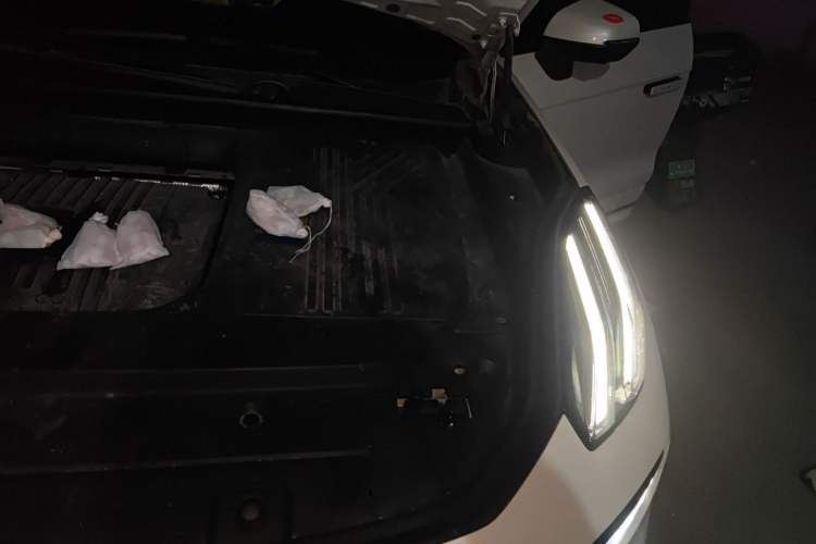 Used Lynk & Co 09 2021 2.0T Halo Six-Seater Engine Bay Left