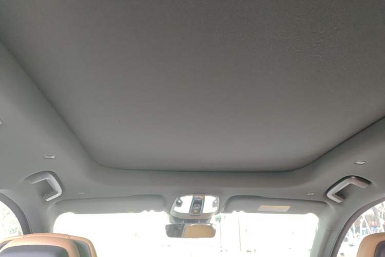Used Lynk & Co 09 2021 2.0T Halo Six-Seater Headliner