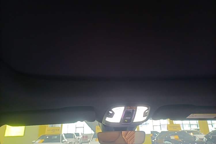 Used Lynk & Co 09 2021 2.0T Halo Six-Seater Headliner