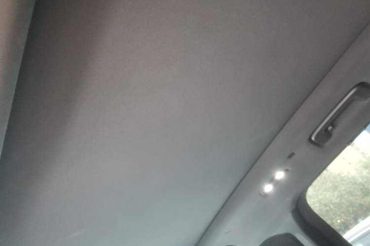 Used Lynk & Co 09 2021 2.0T Halo Six-Seater Headliner