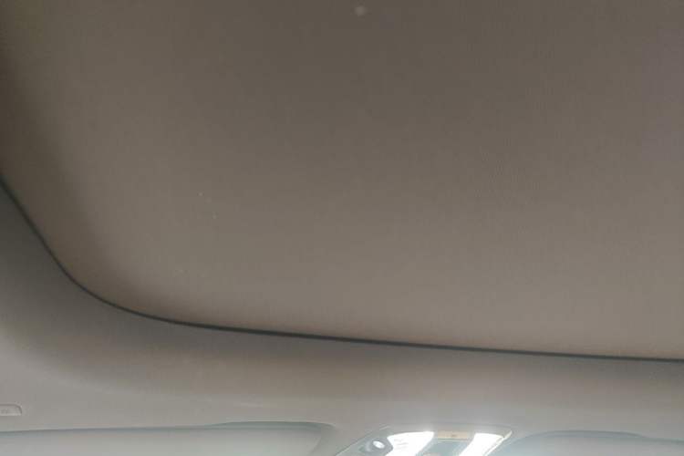 Used Lynk & Co 09 2024 2.0T All-Wheel Drive Global Version 7 Seats Headliner