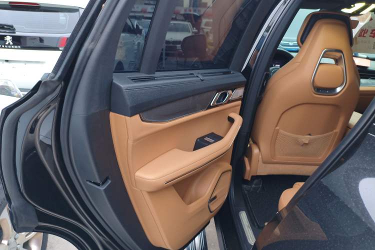 Used Lynk & Co 09 2024 2.0T Four-Wheel Drive Sport Edition Five Seats Left Rear Door Interior