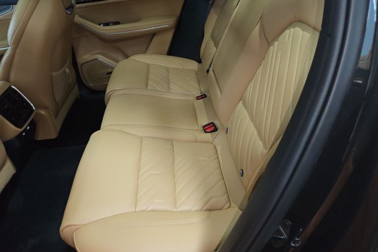 Used Lynk & Co 09 2024 2.0T Four-Wheel Drive Sport Edition Five Seats Left Rear Seat