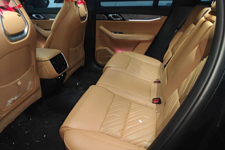 Used Lynk & Co 09 2024 2.0T Four-Wheel Drive Sport Edition Five Seats Left Rear Seat