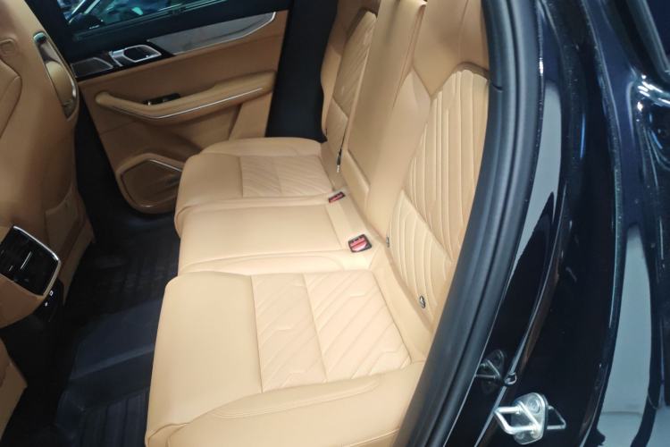 Used Lynk & Co 09 2024 2.0T Four-Wheel Drive Sport Edition Five Seats Left Rear Seat