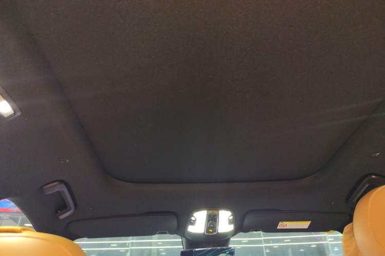 Used Lynk & Co 09 EM-P 2025 2.0TD EM-P Four-Wheel Drive Max Five Seats Headliner