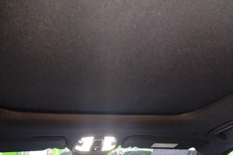 Used Lynk & Co 09 EM-P 2021 2.0T PHEV Halo Six-Seater Headliner