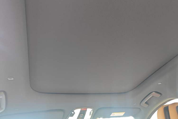 Used Lynk & Co 09 EM-P 2021 2.0T PHEV Halo Six-Seater Headliner