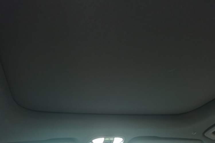 Used Lynk & Co 09 EM-P 2021 2.0T PHEV Ultra 7-Seater Headliner