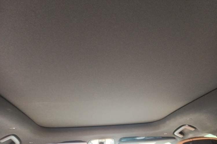 Used Lynk & Co 09 EM-P 2021 2.0T PHEV Ultra Six-Seater Headliner