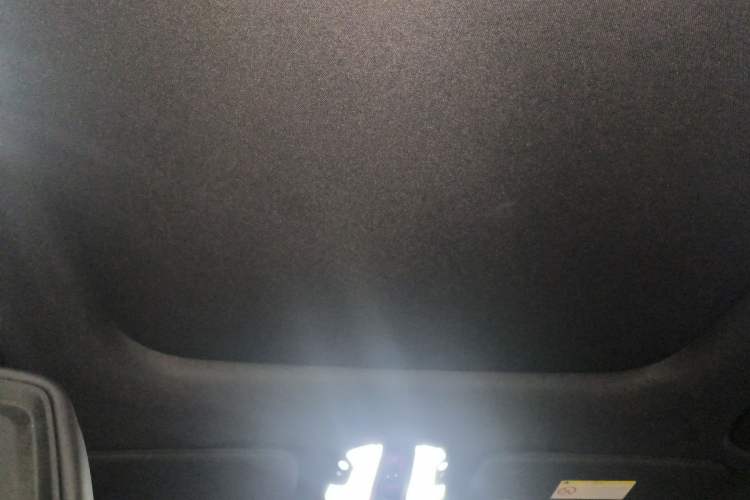 Used Lynk & Co 09 EM-P 2021 2.0T PHEV Halo Six-Seater Headliner