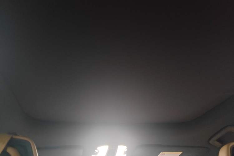 Used Lynk & Co 09 EM-P 2021 2.0T PHEV Ultra Six-Seater Headliner