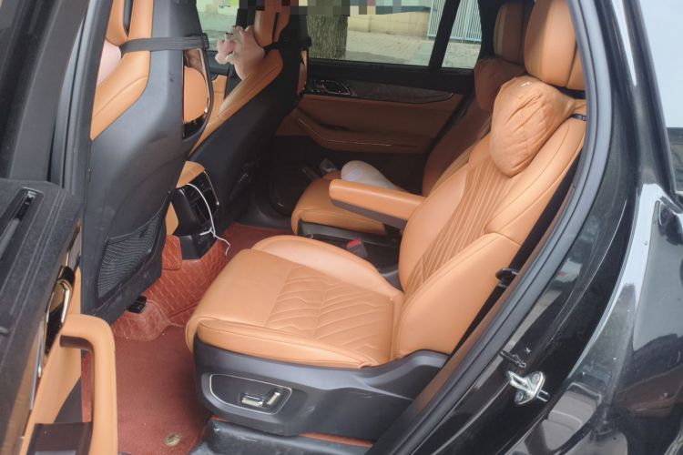 Used Lynk & Co 09 EM-P 2021 2.0T PHEV Halo Six-Seater Left Rear Seat