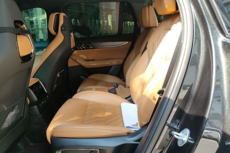 Used Lynk & Co 09 EM-P 2021 2.0T PHEV Halo Six-Seater Left Rear Seat