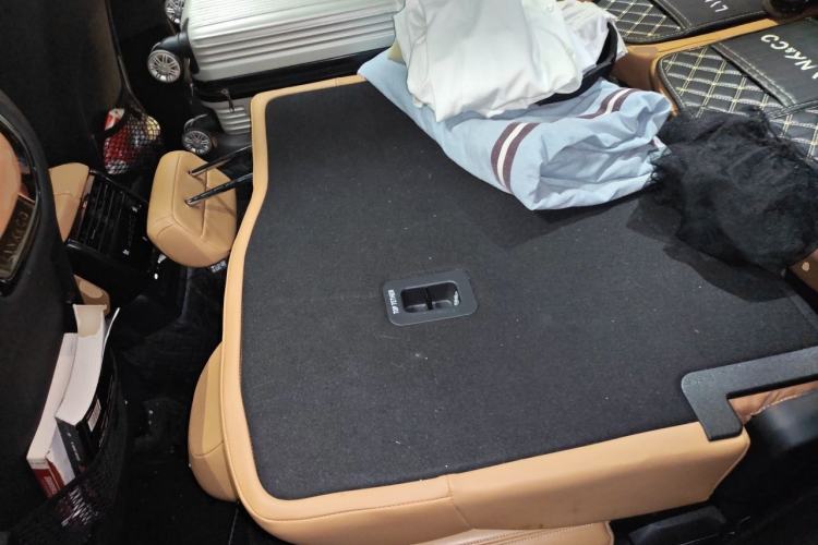 Used Lynk & Co 09 EM-P 2021 2.0T PHEV Halo Seven-Seater Left Rear Seat
