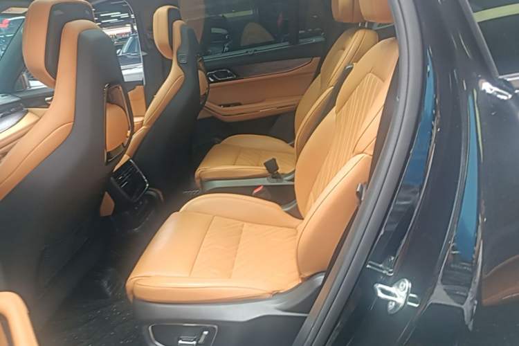 Used Lynk & Co 09 EM-P 2021 2.0T PHEV Halo Six-Seater Left Rear Seat