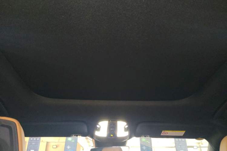 Used Lynk & Co 09 EM-P 2021 2.0T PHEV Halo Six-Seater Headliner
