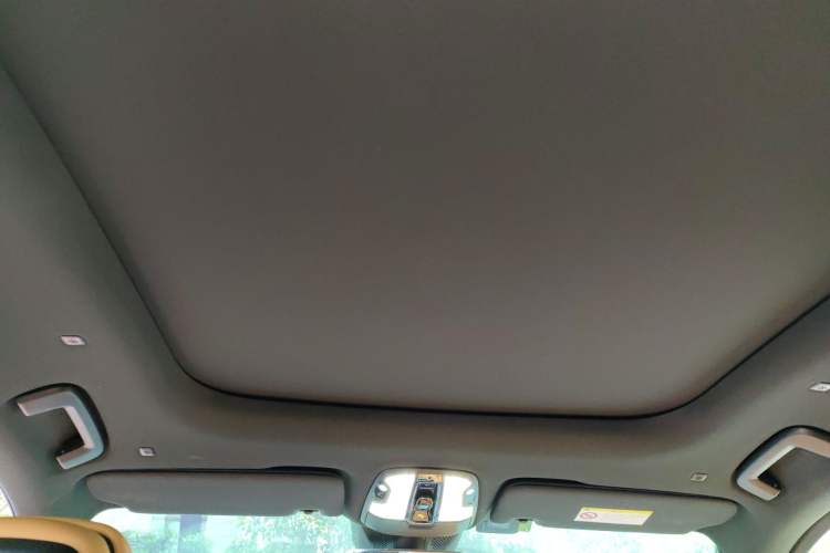 Used Lynk & Co 09 EM-P 2021 2.0T PHEV Halo Six-Seater Headliner
