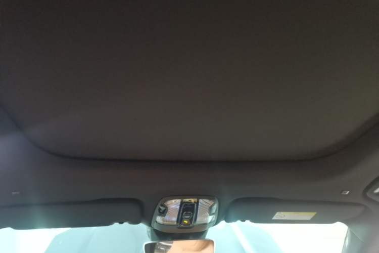 Used Lynk & Co 09 EM-P 2021 2.0T PHEV Halo Six-Seater Headliner