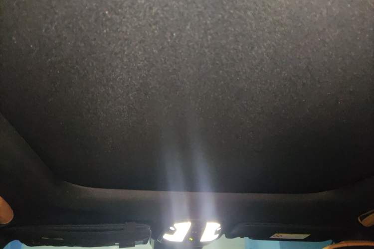 Used Lynk & Co 09 EM-P 2021 2.0T PHEV Halo Six-Seater Headliner