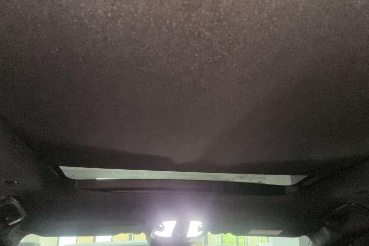 Used Lynk & Co 09 EM-P 2021 2.0T PHEV Halo Six-Seater Headliner