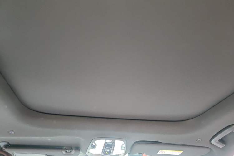 Used Lynk & Co 09 EM-P 2021 2.0T PHEV Ultra Six-Seater Headliner