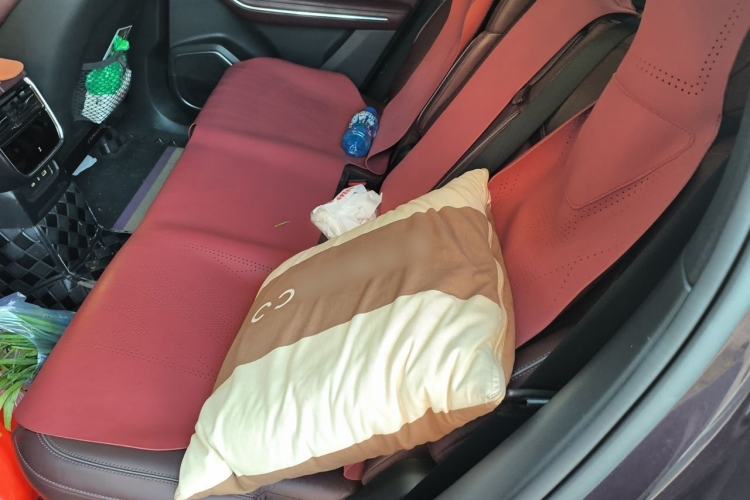 Used Lynk & Co 09 EM-P 2021 2.0T PHEV Ultra 7-Seater Left Rear Seat