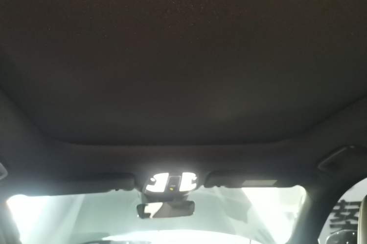 Used Lynk & Co 09 EM-P 2021 2.0T PHEV Halo Seven-Seater Headliner