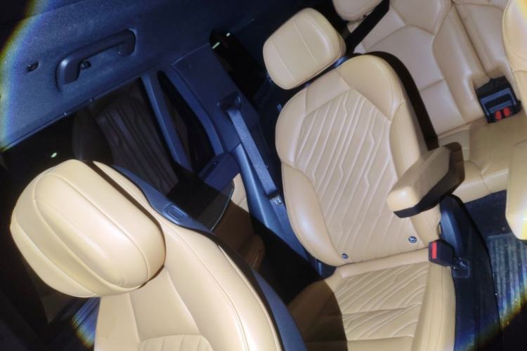 Used Lynk & Co 09 EM-P 2021 2.0T PHEV Halo Six-Seater Left Rear Seat