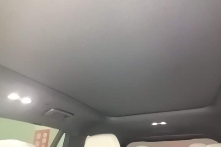 Used Lynk & Co 09 EM-P 2021 2.0T PHEV Ultra Six-Seater Headliner
