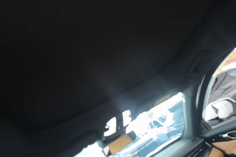 Used Lynk & Co 09 EM-P 2021 2.0T PHEV Halo Seven-Seater Headliner
