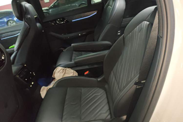 Used Lynk & Co 09 EM-P 2021 2.0T PHEV Halo Six-Seater Left Rear Seat