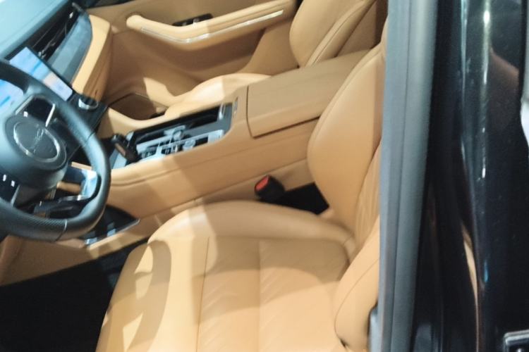 Used Lynk & Co 09 EM-P 2023 2.0TD EM-P Four-Wheel Drive Asian Games Executive Edition Five Seats Left Front Seat