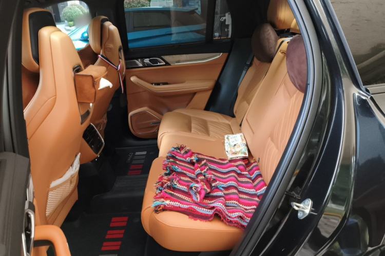 Used Lynk & Co 09 EM-P 2023 2.0TD EM-P Four-Wheel Drive Asian Games Executive Edition Five Seats Left Rear Seat
