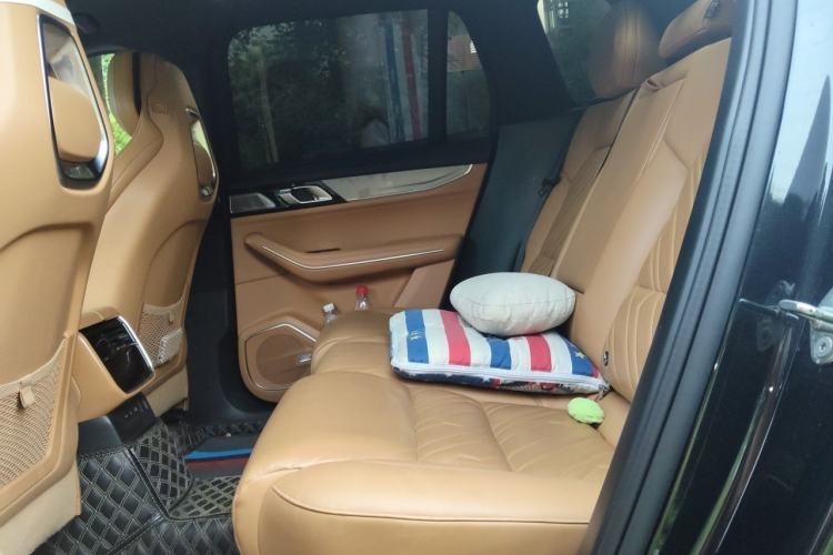 Used Lynk & Co 09 EM-P 2023 2.0TD EM-P Four-Wheel Drive Asian Games Executive Edition Five Seats Left Rear Seat