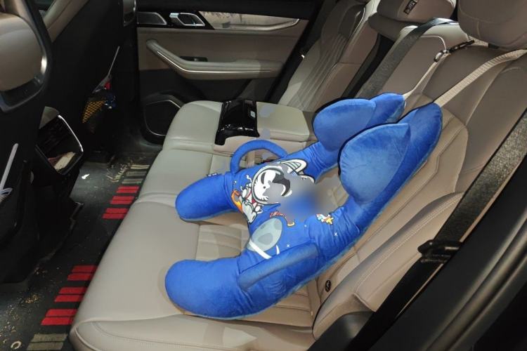 Used Lynk & Co 09 EM-P 2023 2.0TD EM-P Long-Range Version PM 7-Seater Left Rear Seat