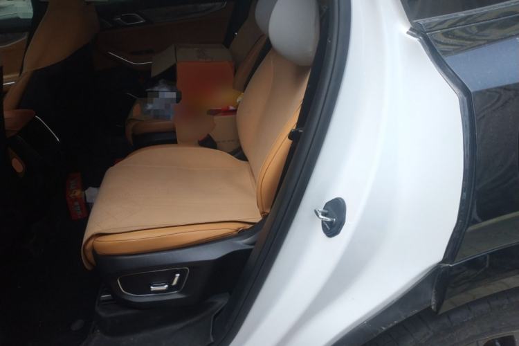 Used Lynk & Co 09 EM-P 2023 2.0TD EM-P Long-Range Version PM Six-Seater Left Rear Seat