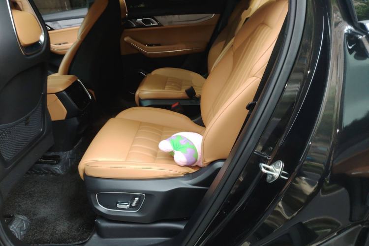 Used Lynk & Co 09 EM-P 2023 2.0TD EM-P Long-Range Version PM Six-Seater Left Rear Seat