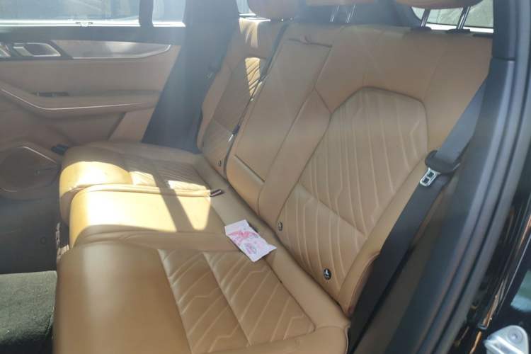 Used Lynk & Co 09 EM-P 2023 2.0TD EM-P Four-Wheel Drive Asian Games Executive Edition Five Seats Left Rear Seat