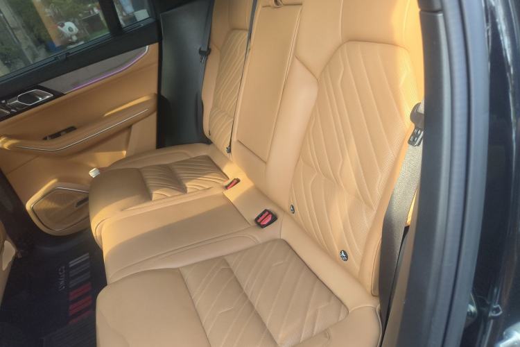 Used Lynk & Co 09 EM-P 2023 2.0TD EM-P Four-Wheel Drive Asian Games Executive Edition Five Seats Left Rear Seat
