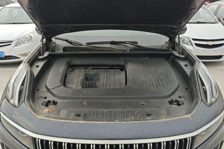 Used Lynk & Co 09 EM-P 2023 2.0TD EM-P Four-Wheel Drive Asian Games Executive Edition Five Seats Engine Bay