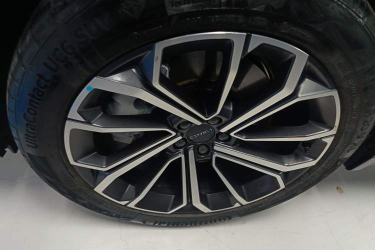Used Lynk & Co 09 EM-P 2023 2.0TD EM-P Four-Wheel Drive Asian Games Executive Edition Five Seats Exterior 4