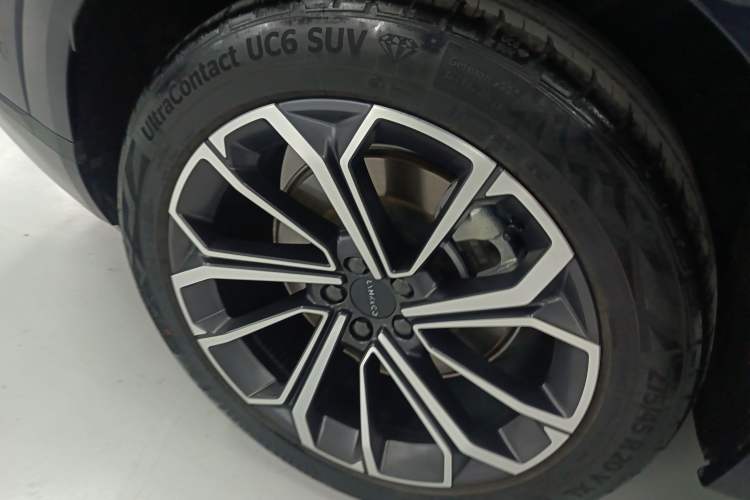 Used Lynk & Co 09 EM-P 2023 2.0TD EM-P Four-Wheel Drive Asian Games Executive Edition Five Seats Exterior 5