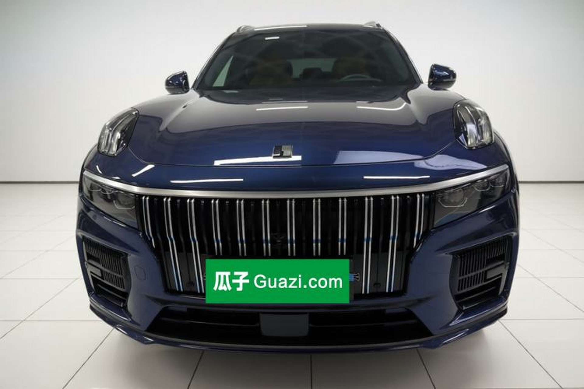 Used Lynk & Co 09 EM-P 2023 2.0TD EM-P Four-Wheel Drive Asian Games Executive Edition Five Seats Front