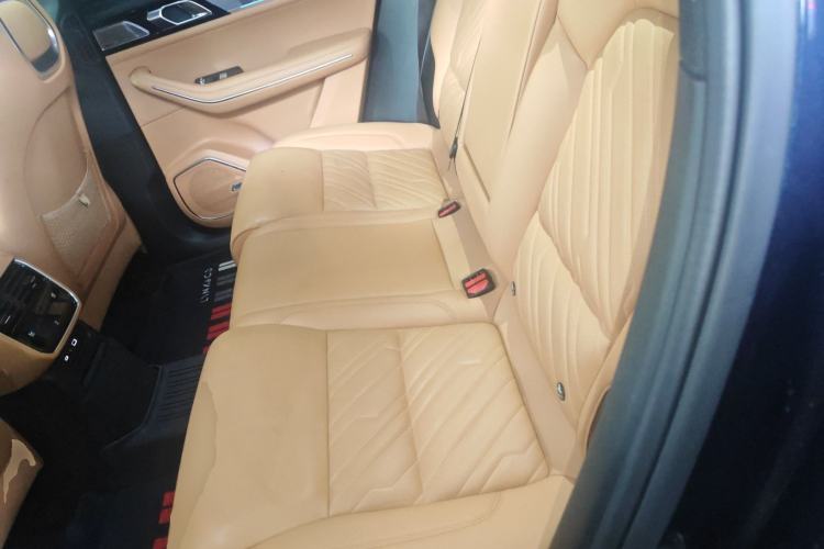 Used Lynk & Co 09 EM-P 2023 2.0TD EM-P Four-Wheel Drive Asian Games Executive Edition Five Seats Left Rear Seat