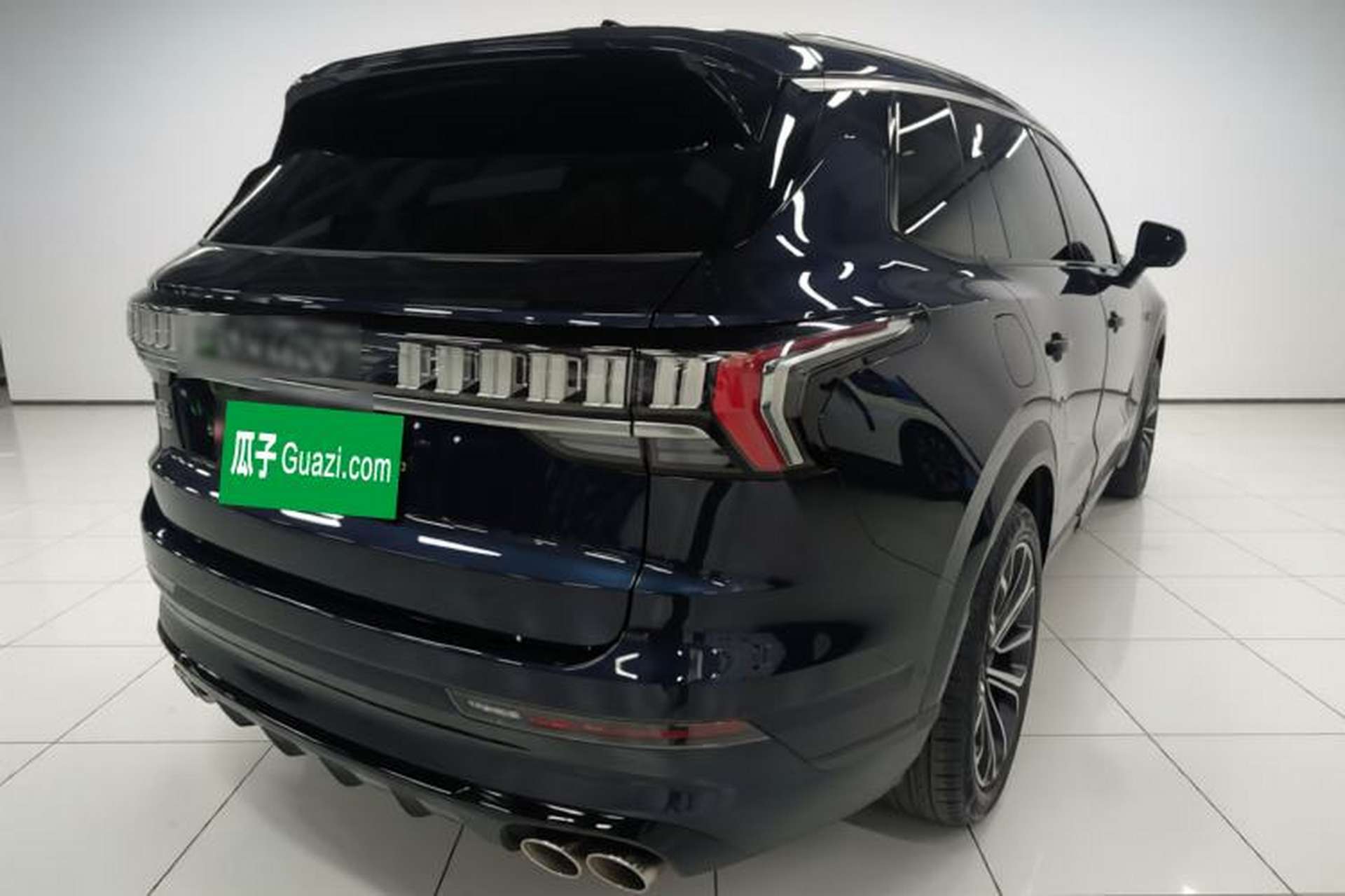 Used Lynk & Co 09 EM-P 2023 2.0TD EM-P Four-Wheel Drive Asian Games Executive Edition Five Seats Rear Right 45 Deg